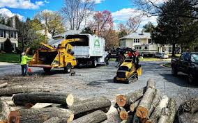 Best Tree Risk Assessment  in Kiefer, OK