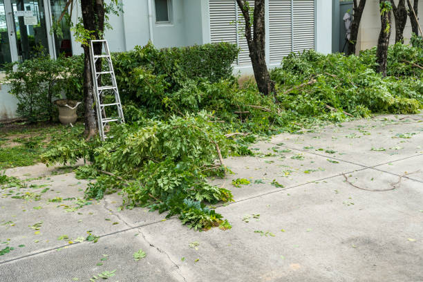 Best Lawn Pest Prevention  in Kiefer, OK