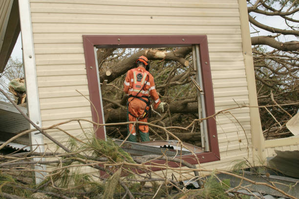 How Our Tree Care Process Works  in  Kiefer, OK