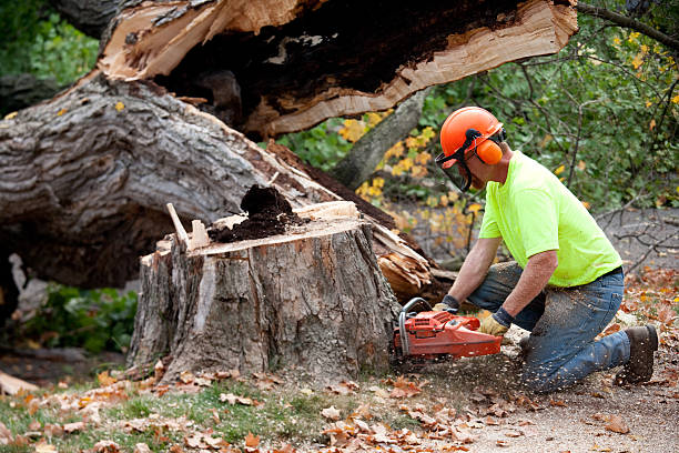 Best Aeration Services  in Kiefer, OK