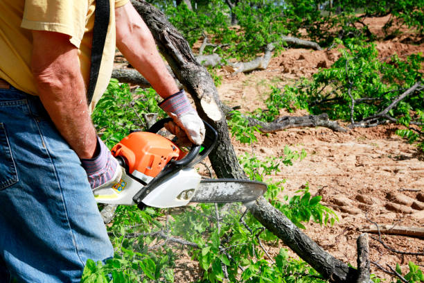 Best Seasonal Cleanup (Spring/Fall)  in Kiefer, OK